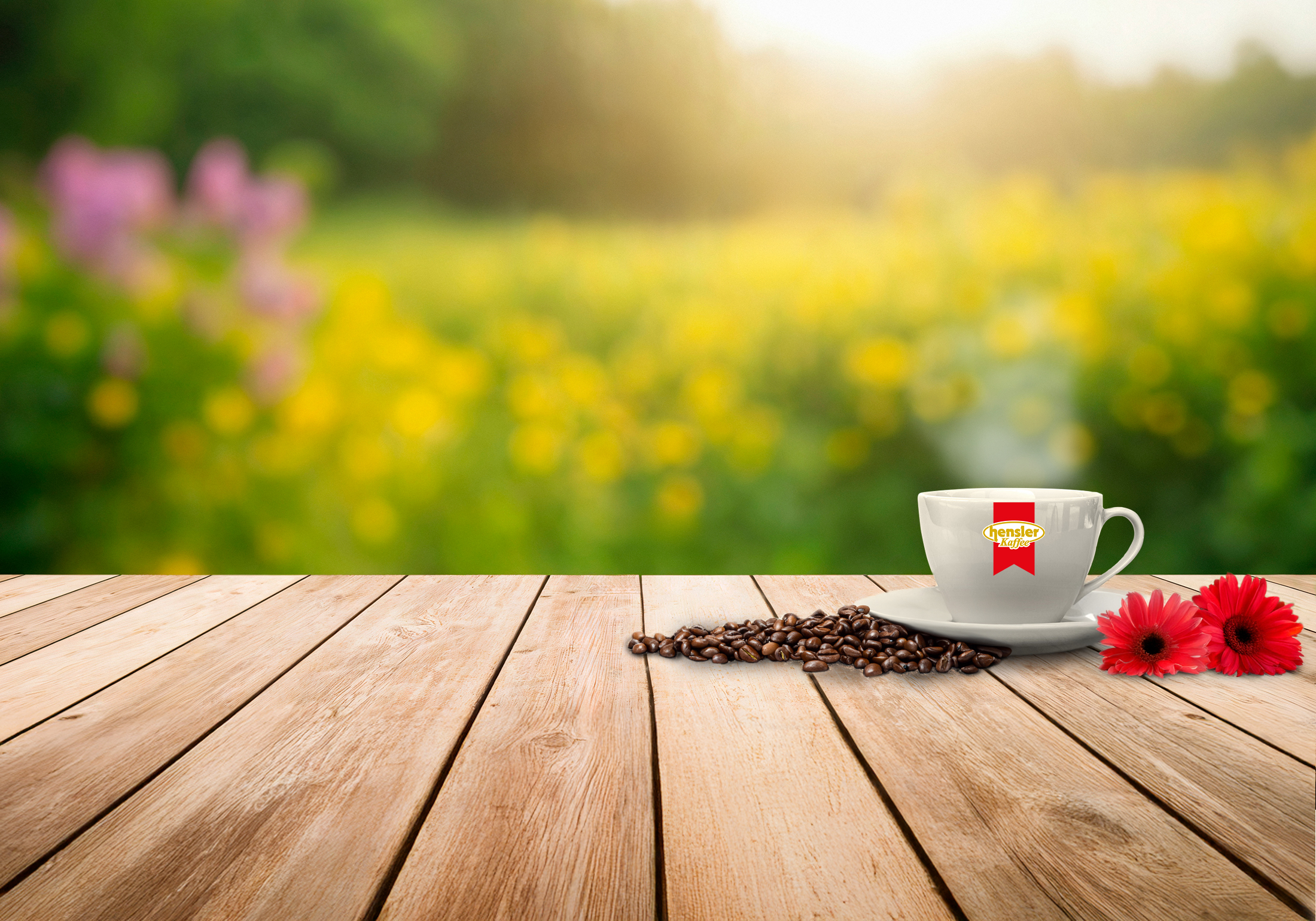 Header_Hensler_Header_2200x1540px_summer